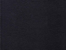 Importer leather 77 LEATHERCOLLECTION 系列 真皮 牛皮 沙發皮革 7722 曜石黑